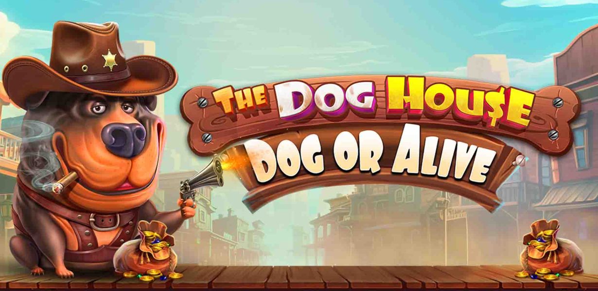 The Dog House - Dog or Alive