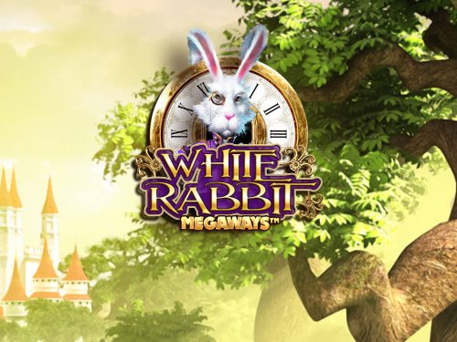 White Rabbit